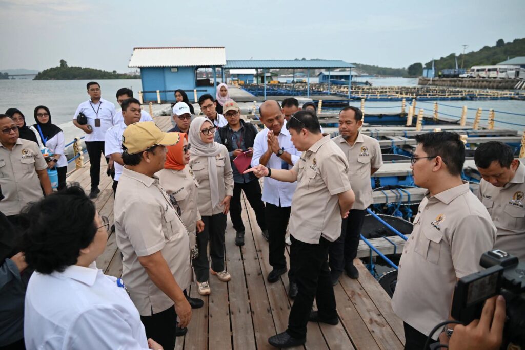 IMG-20260725-WA0063